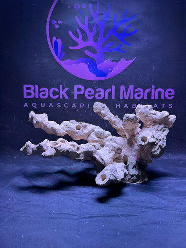 Bpm scape nano - bpm, |nano|