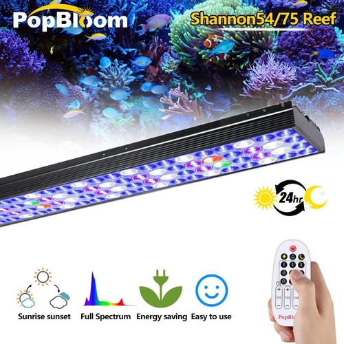 Popbloom controllo timer - popbloom,