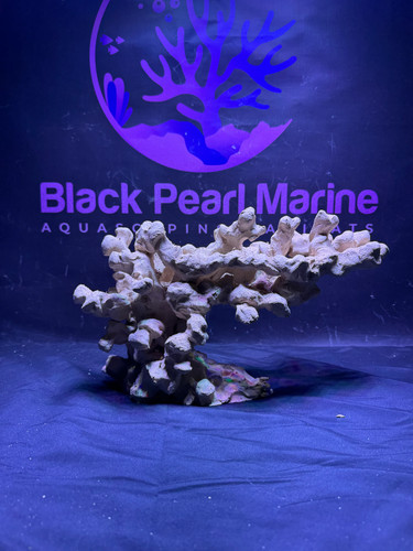 Bpm scape nano - scape, |nano|