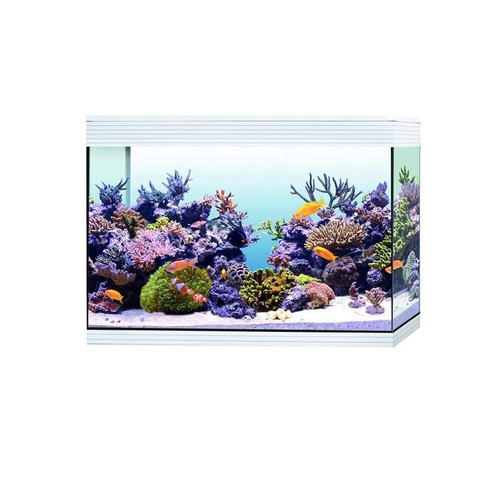 Acquario marino askoll pure - acquario,