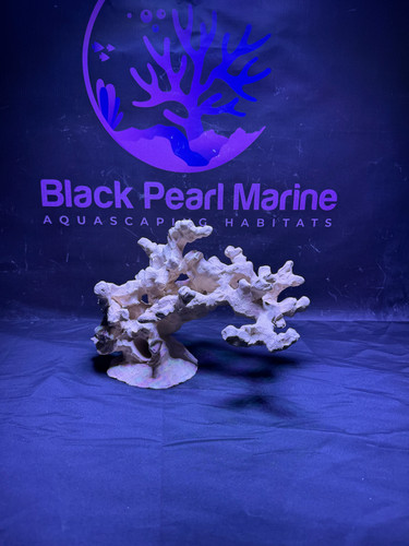 Bpm scape nano 072618 - bpm, #072618
