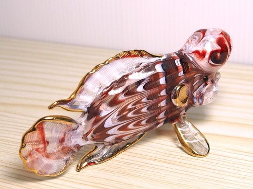 Figura ciclide pesce corno - , di