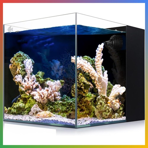 Acquario galloni ultra - 8,