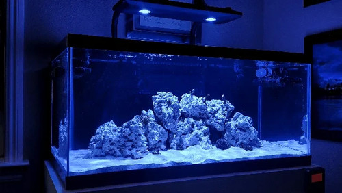 Kessil ap700 plafoniera led - kessil,