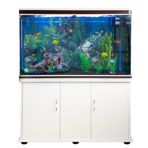 Piedi acquario - piedi,