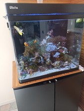 acquario marino completo, con