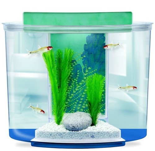 Askoll marina splash acquario - splash,