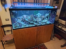 acquario marino completo