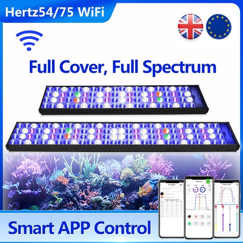 Popbloom wifi illuminazione - popbloom,