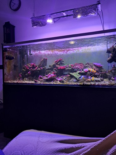 Acquario marino rettangolare