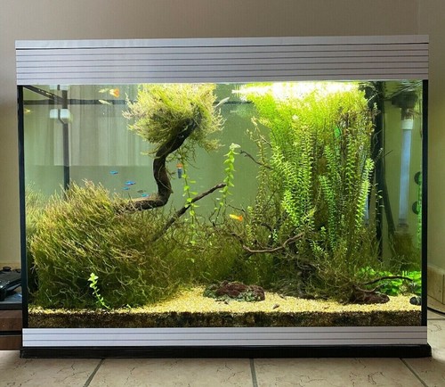 Askoll pure marine led - xl, hc