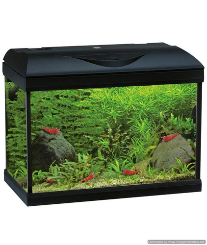 Amtra basic led black - led,