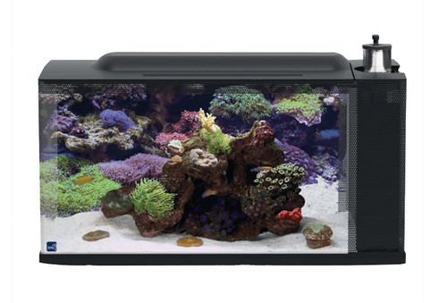 First wave aquarium - wave, 48l