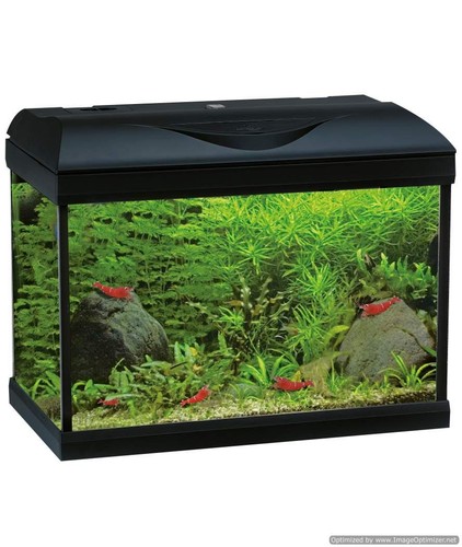 Amtra basic led - led, black