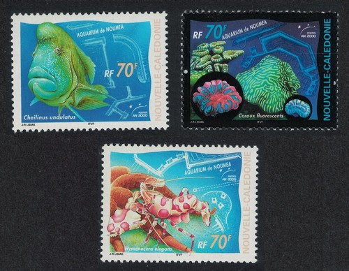 Acquario noumea gambero pesce - noumea,