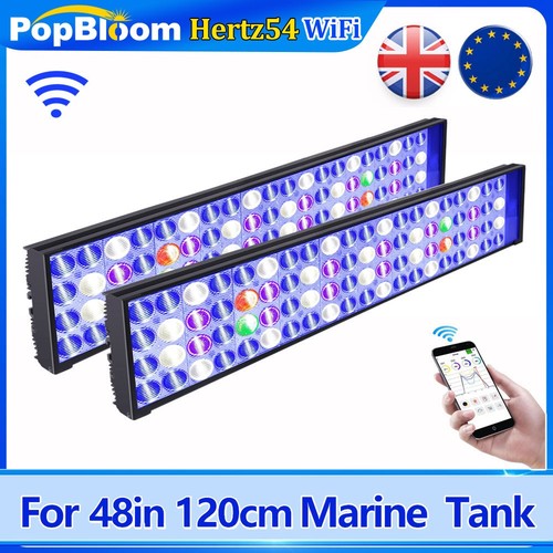 Popbloom h54 wifi led - popbloom, 2x