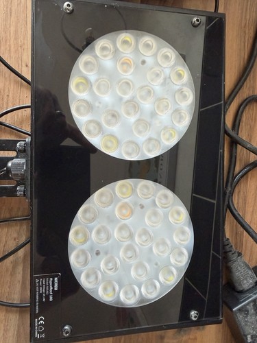 Nicrew hyperreef 100 luce - 100,