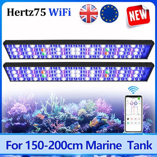 Popbloom h75 led - popbloom, illuminazione