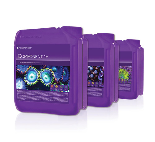 Componente acquaforesta 2 - componente, 1+