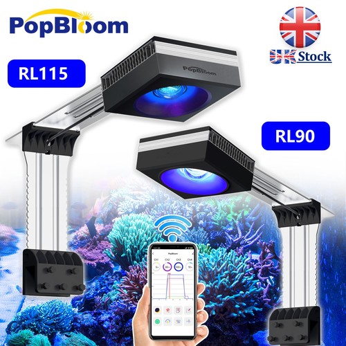 Popbloom rl90 rl115 unità - popbloom,