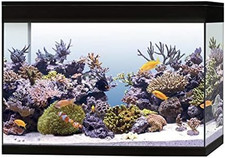 Aa350078 Acquario Pure Marine